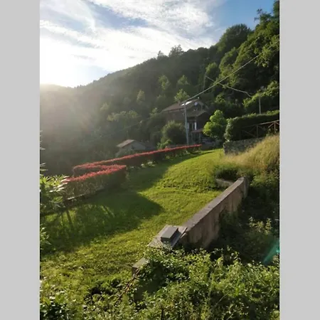 Villa Country House With Sea View Terrace Rovieto